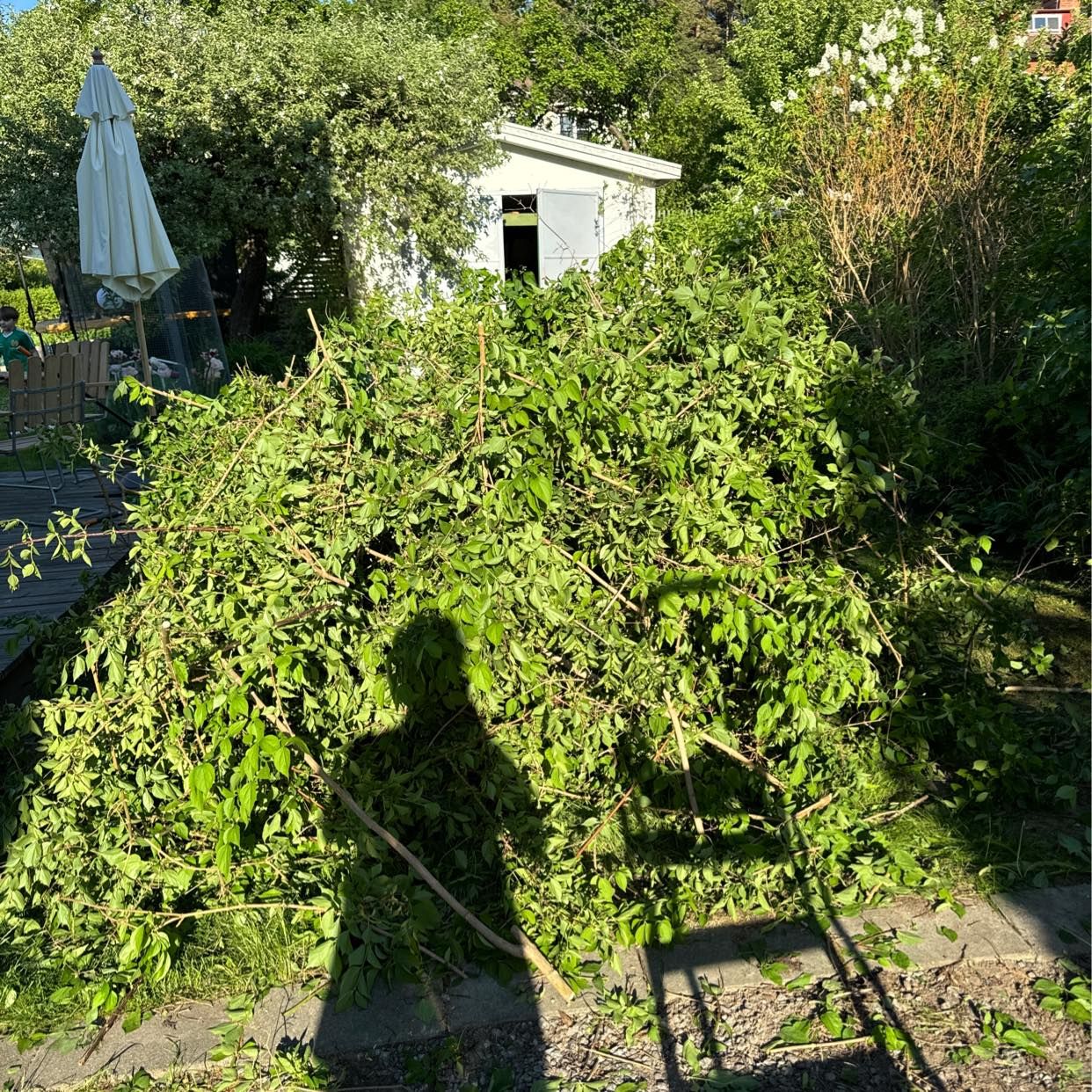 image of Garden waste - Enskede