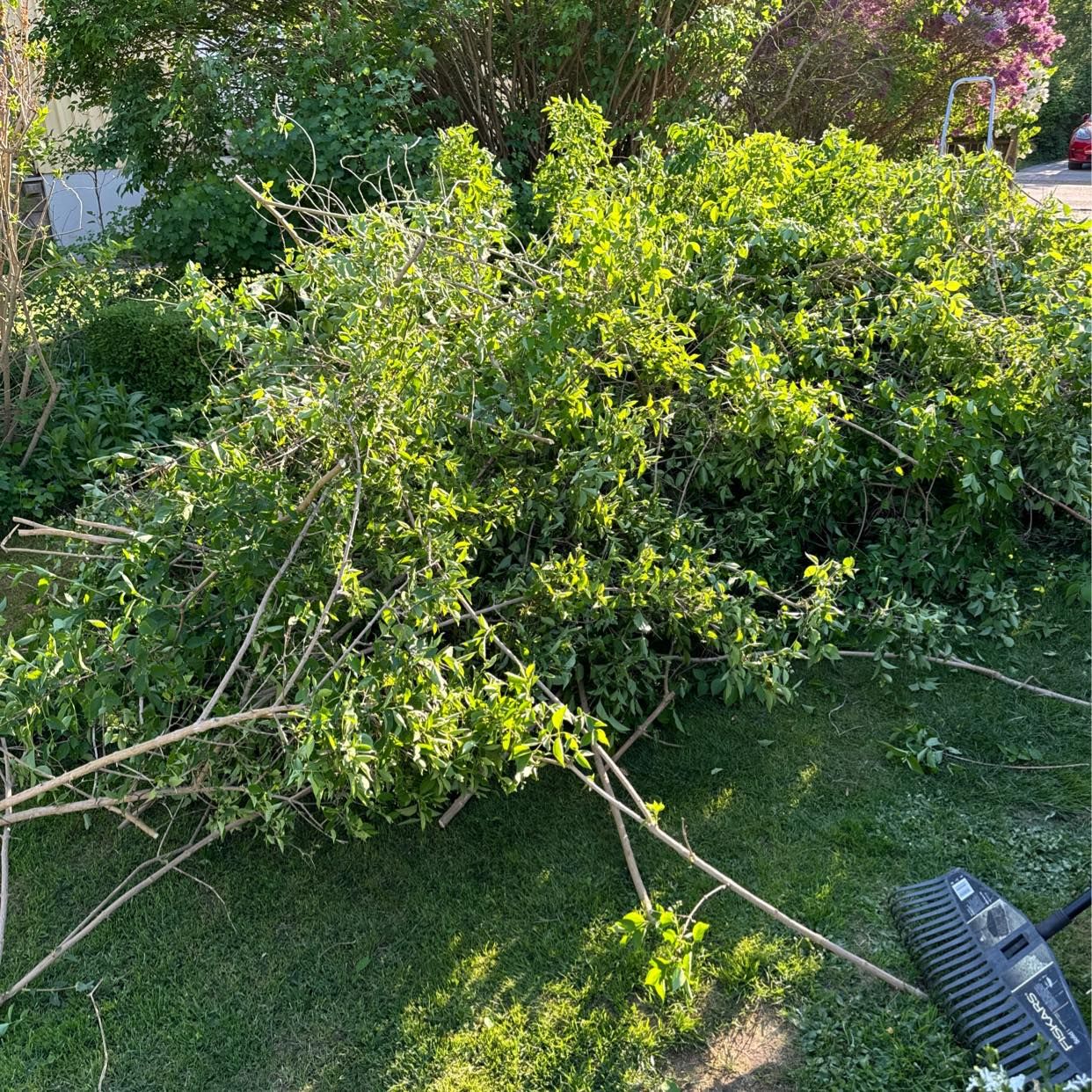 image of Garden waste - Enskede