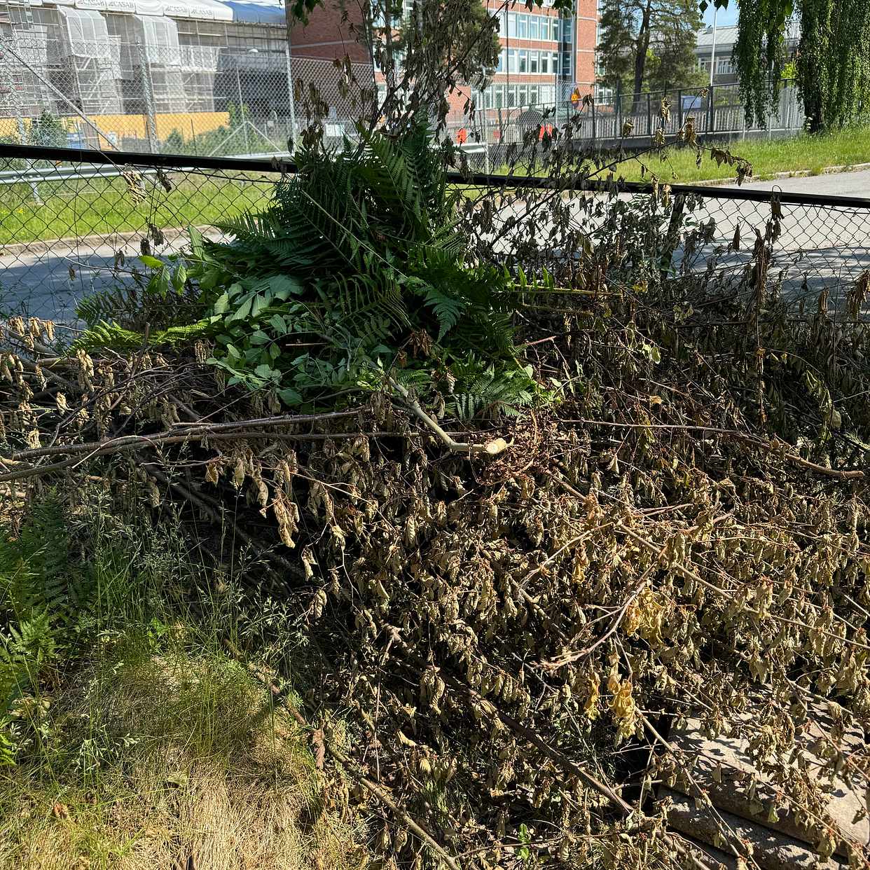 image of Garden waste, wood, etc - Enskede Gård