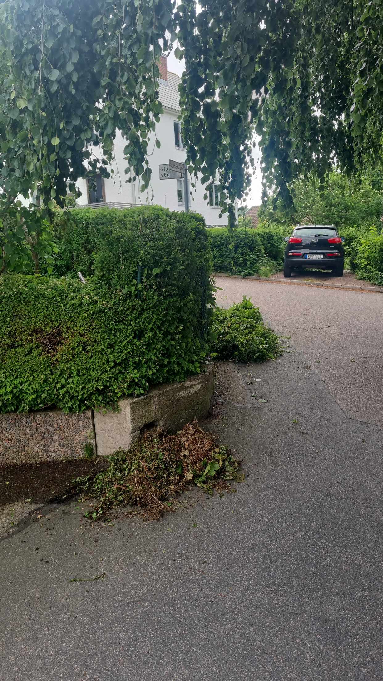 image of Klipp från häck - Sävedalen