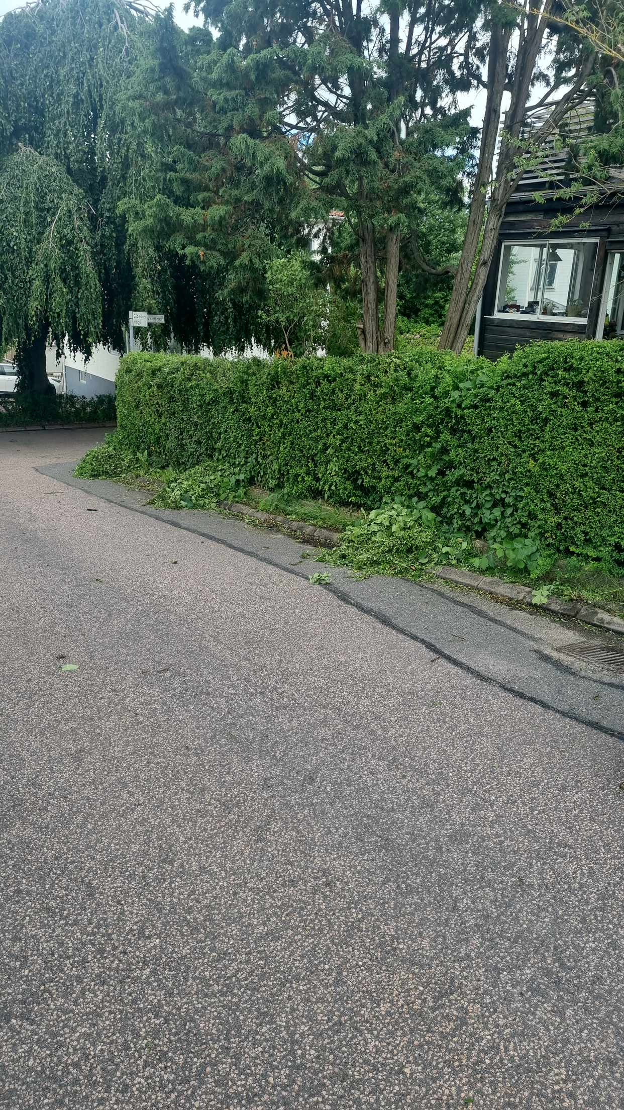 image of Klipp från häck - Sävedalen