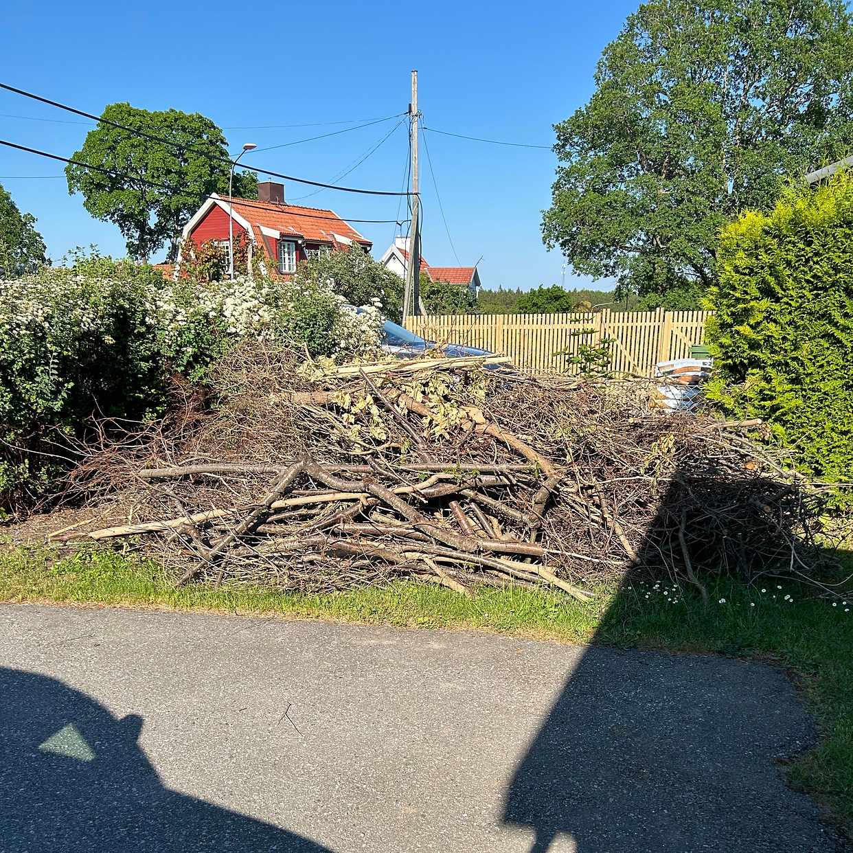 image of Hög med grenar och sly - Lidingö