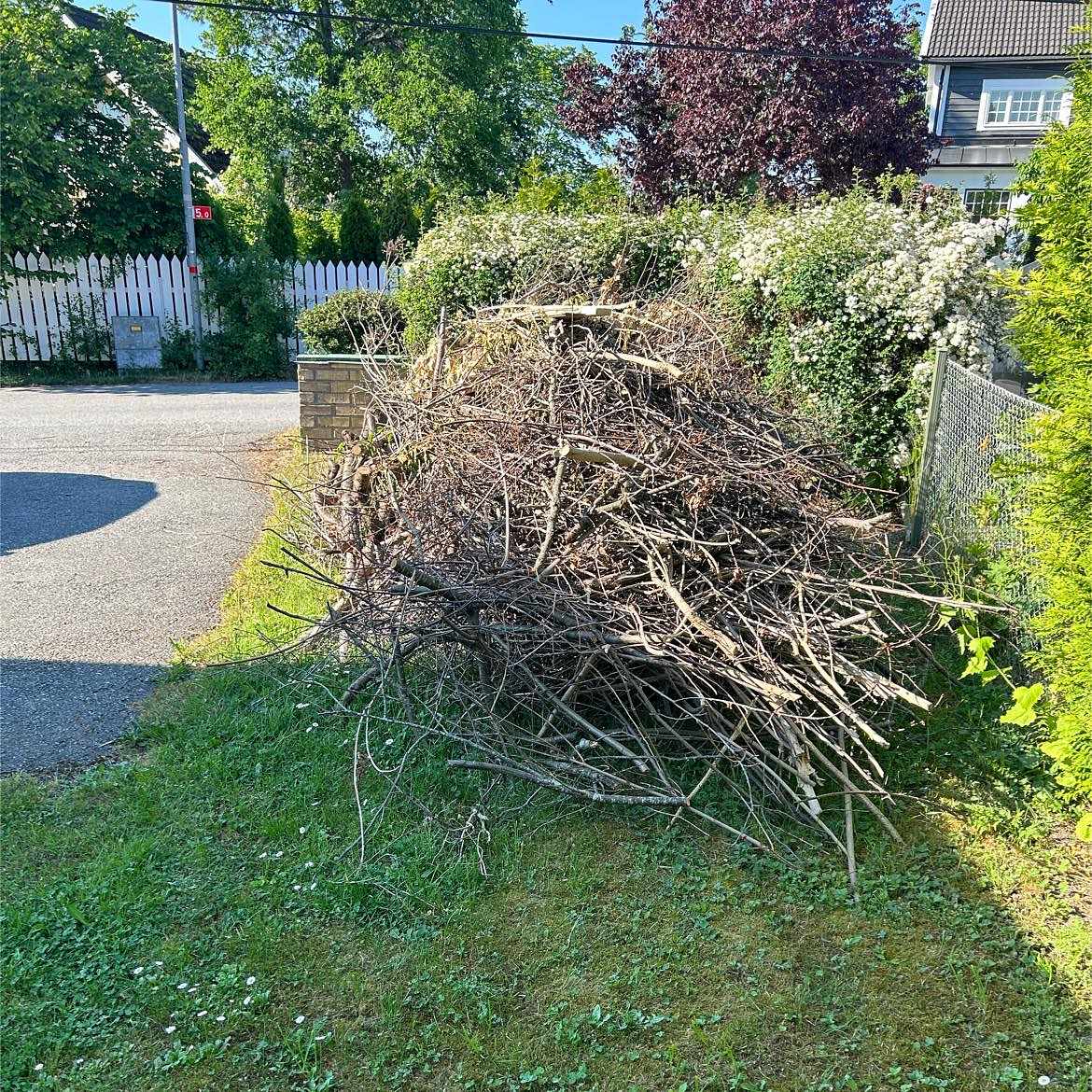 image of Hög med grenar och sly - Lidingö