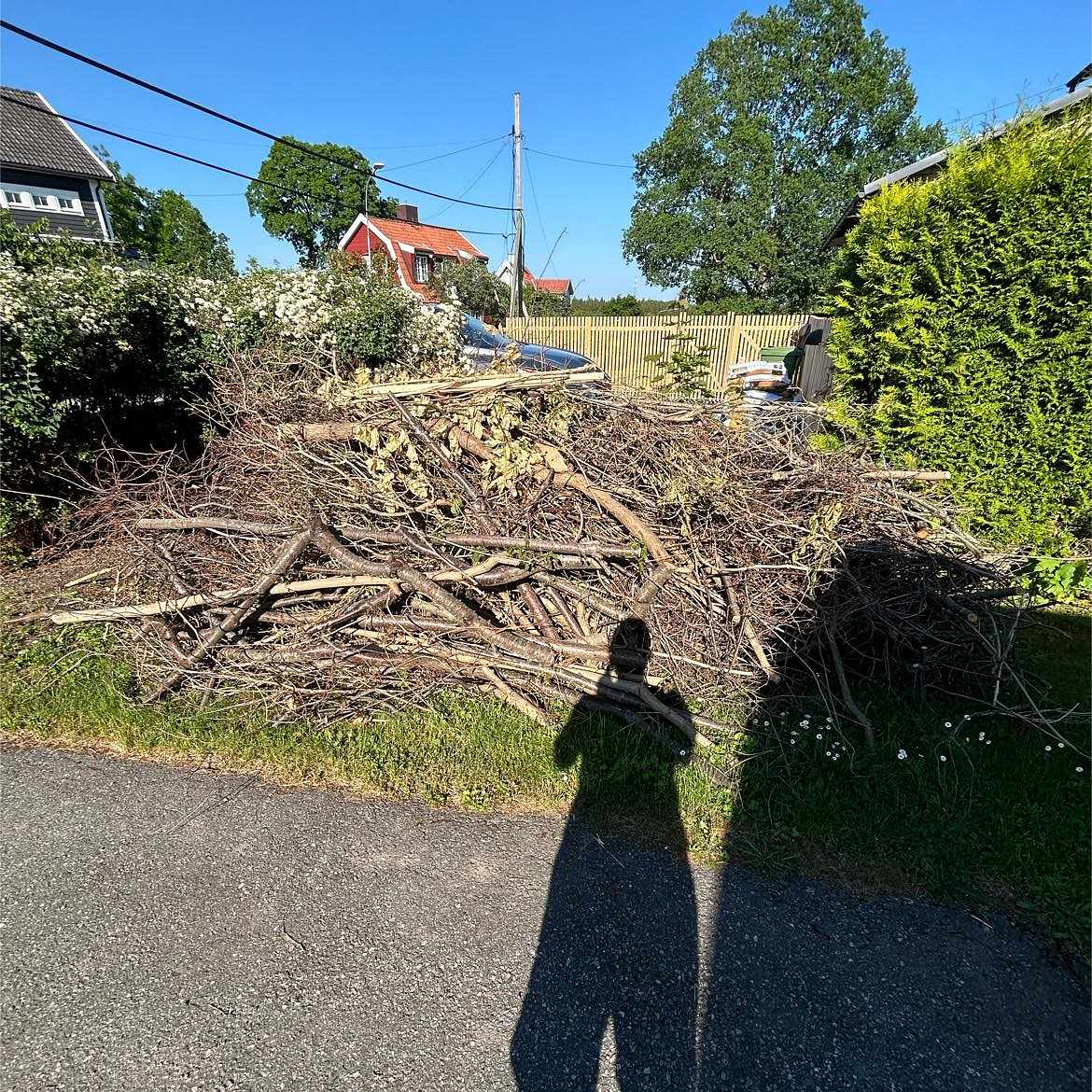 image of Hög med grenar och sly - Lidingö