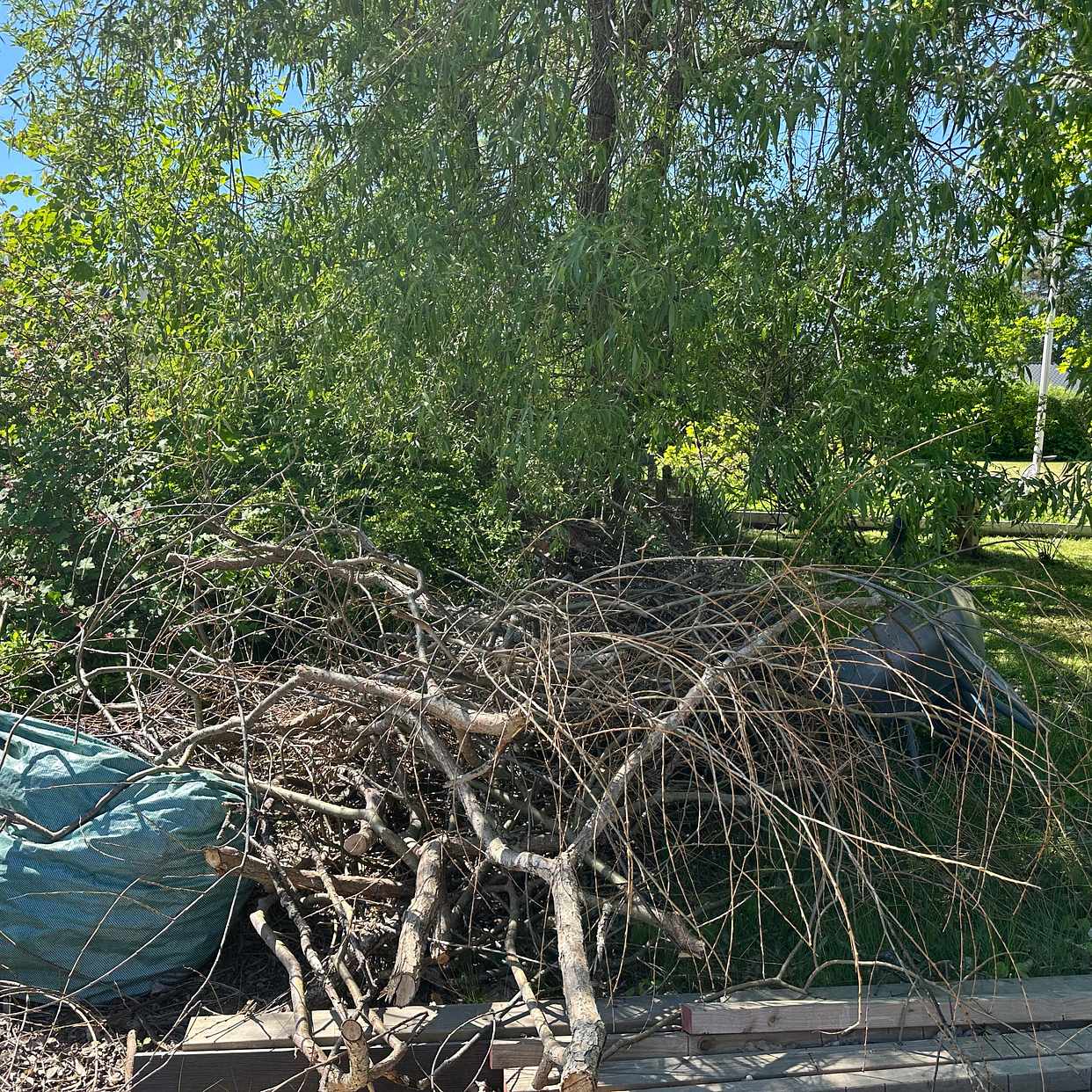 image of Trädgårdsavfall och skräp - Österhaninge