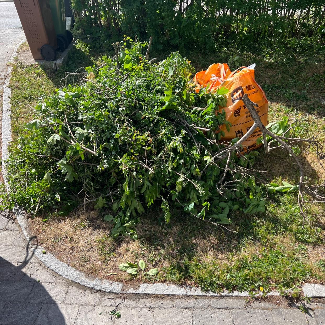 image of Nedklippt häck - - Huddinge