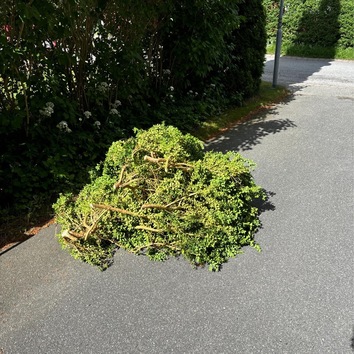 image of Garden waste - Älta