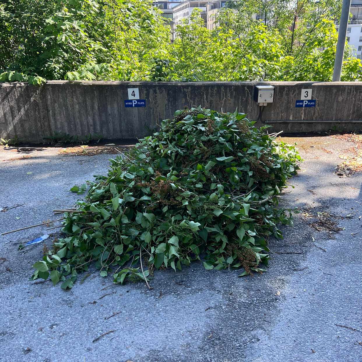 image of Trädgårdsavfall till tipp - Bromma
