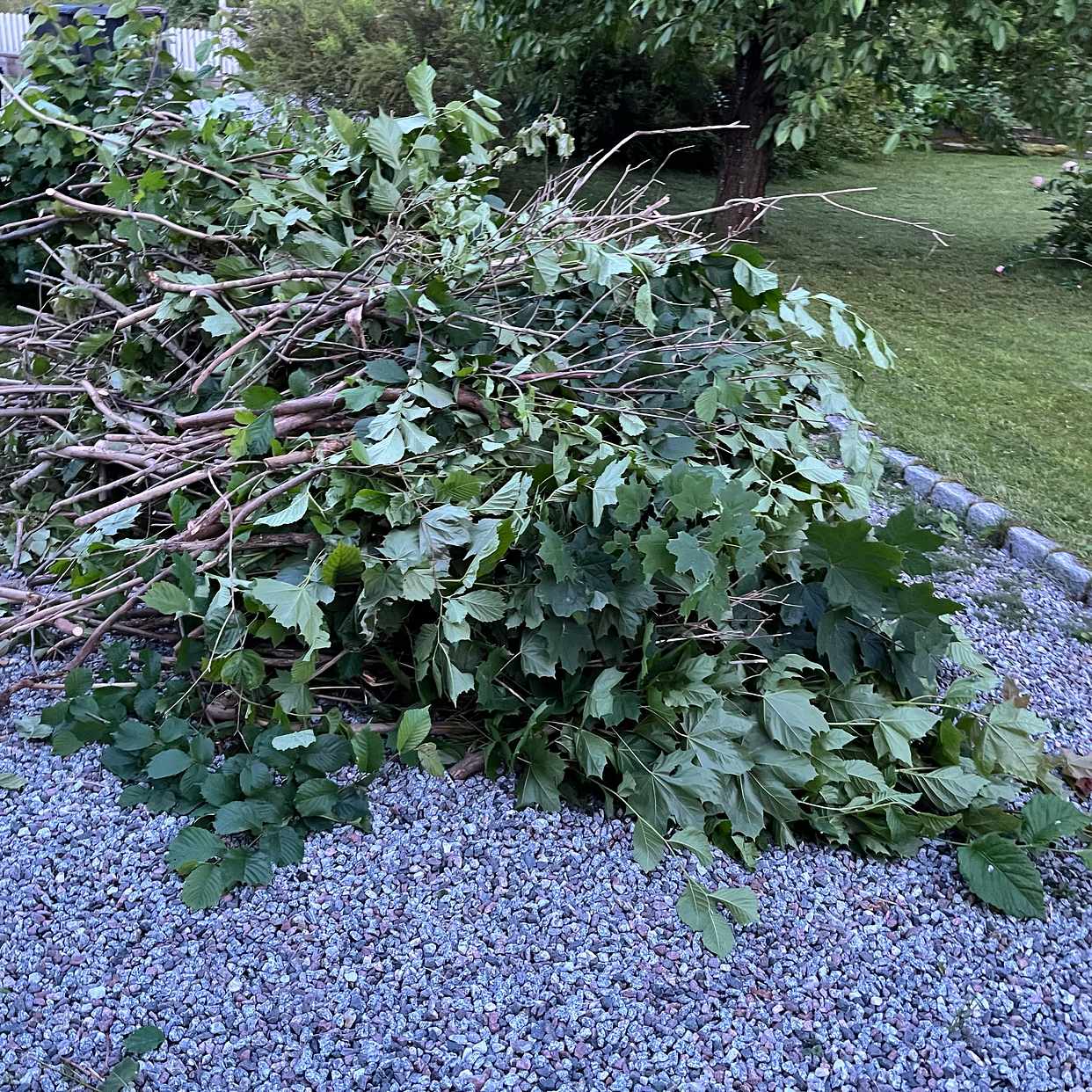 image of 2 högar med syrenhäck - Spånga