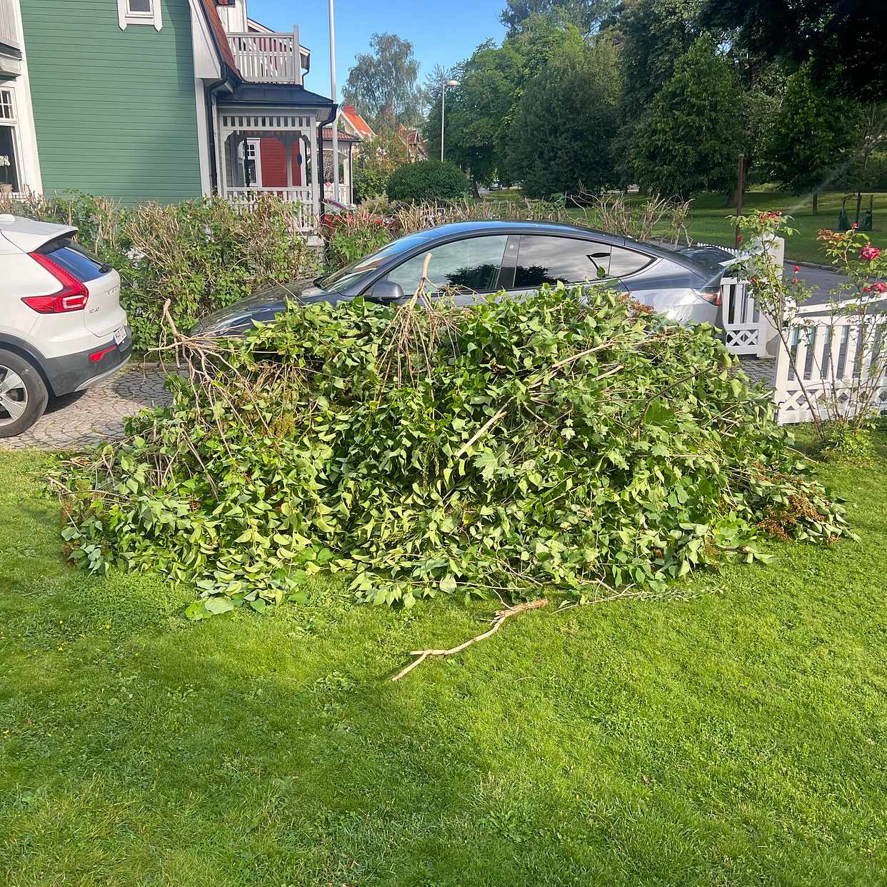 image of Kvistar till återvinninge - Enskede