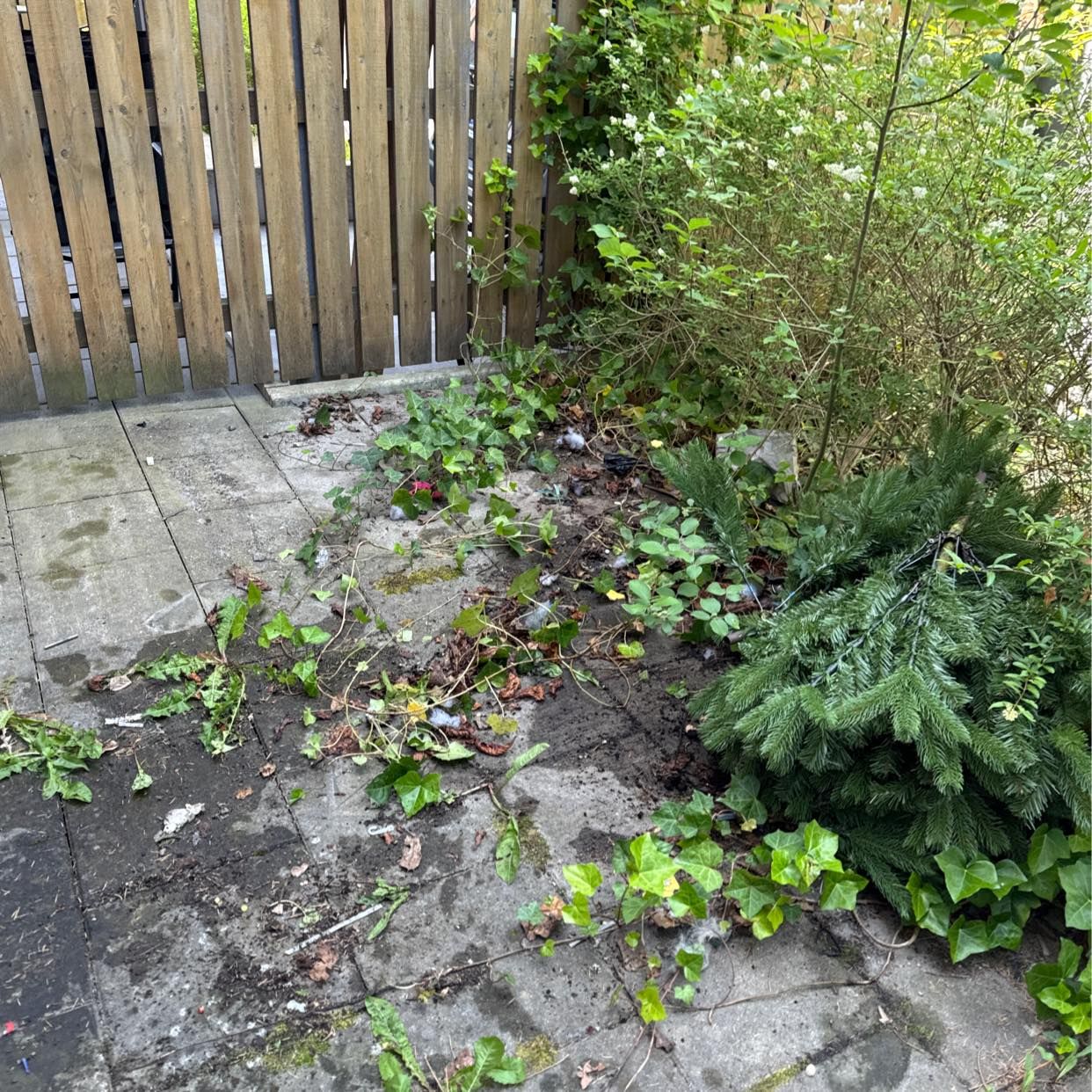 image of Grass and stuff - Eslöv