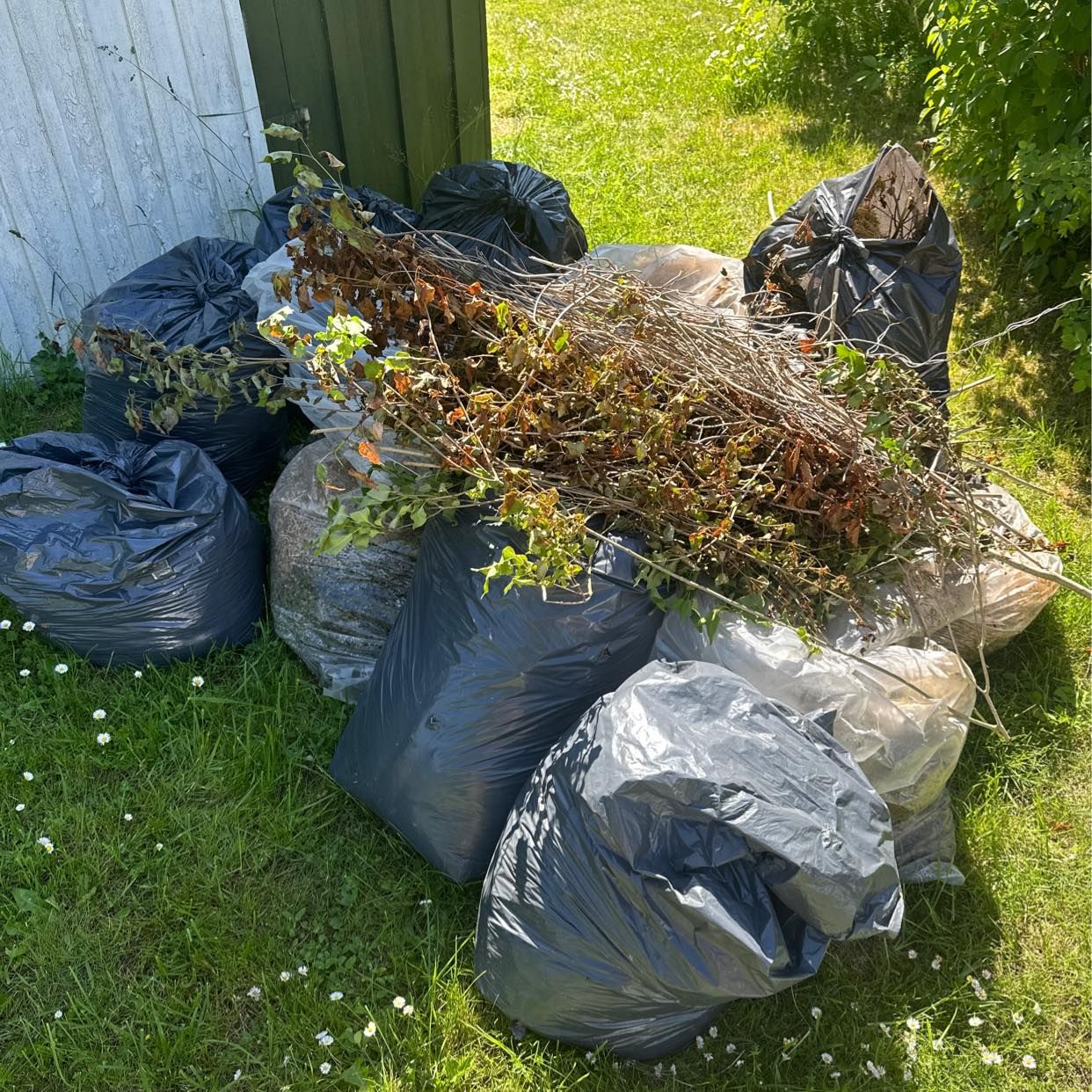 image of Lövsäckar - Värmdö