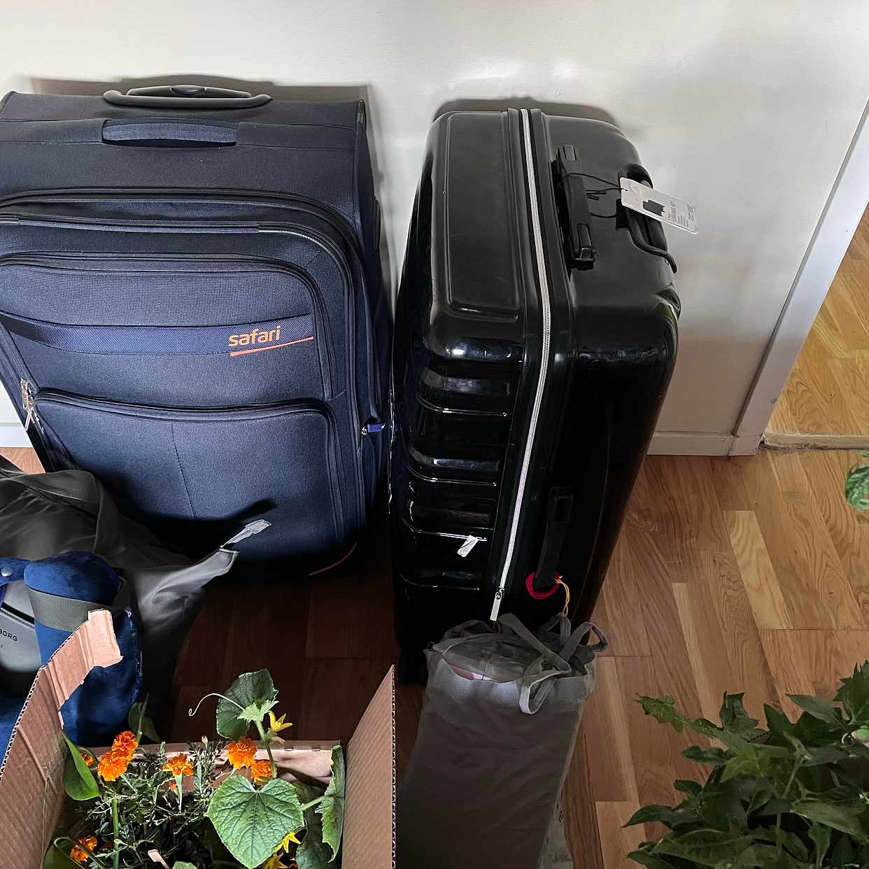 image of Moving - 