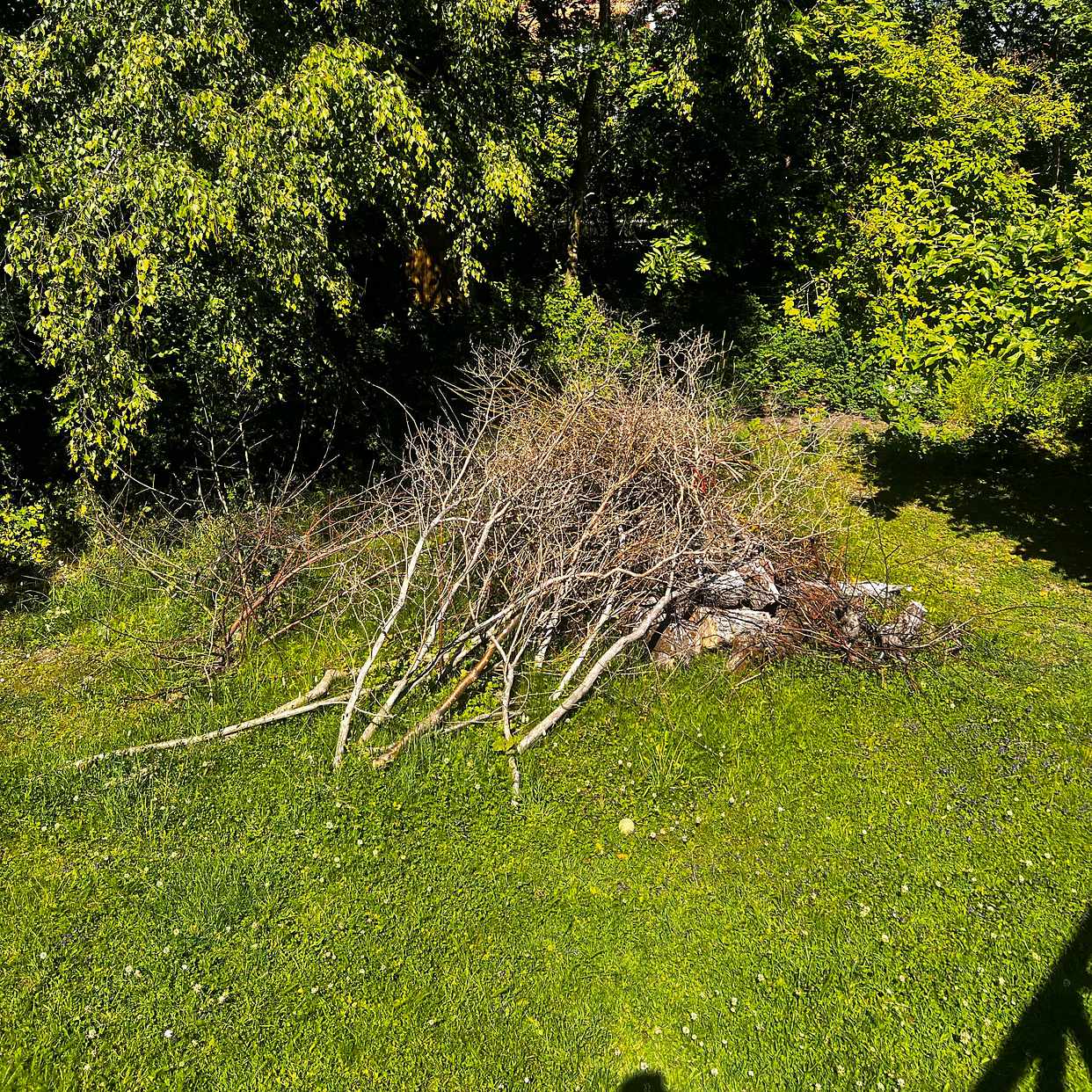 image of Trädgårdsavfall - Täby