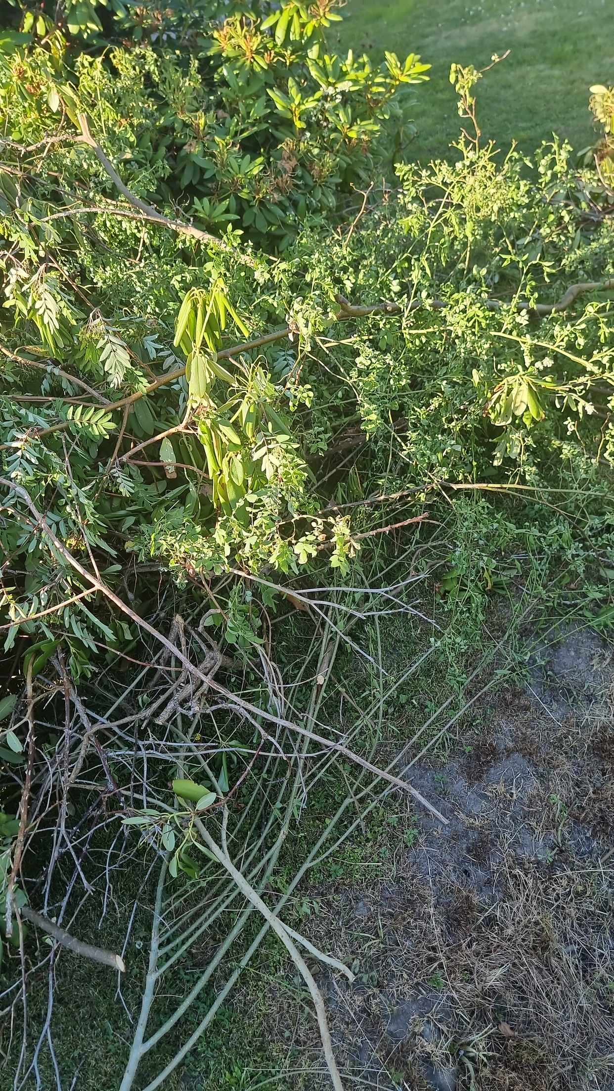 image of Trädgårdsavfall - Tyresö