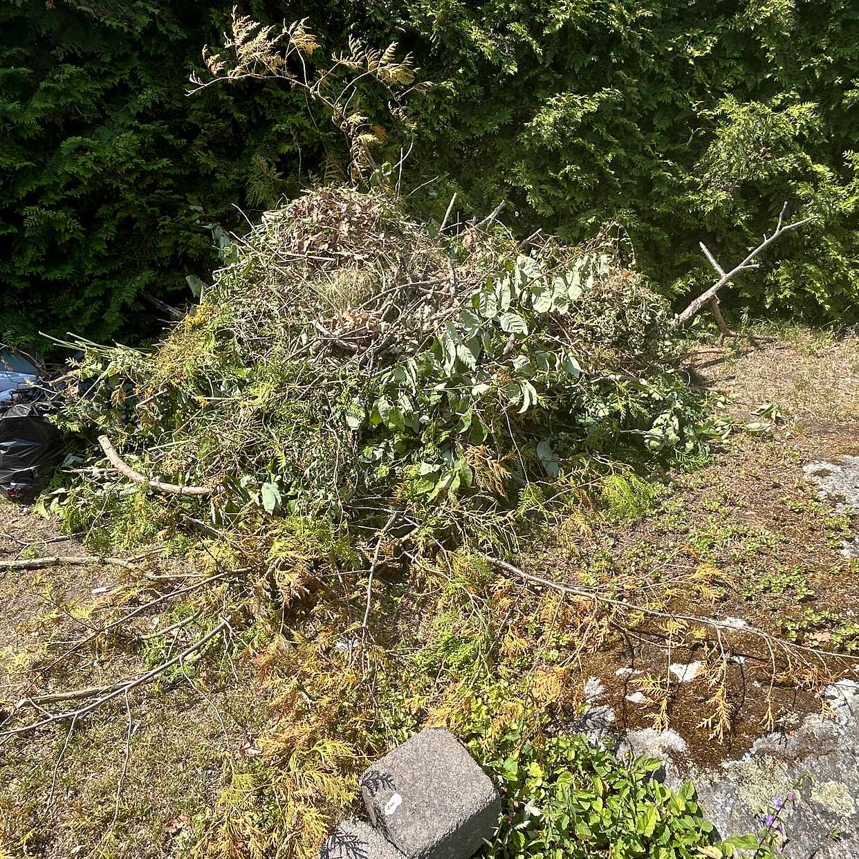 image of Trädgårdsavfall - Hässelby