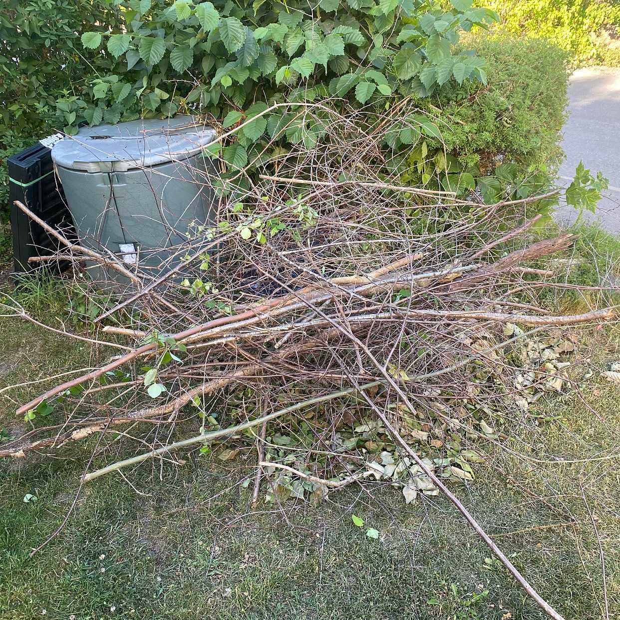 image of En hög med ris, löv + säc - Lidingö
