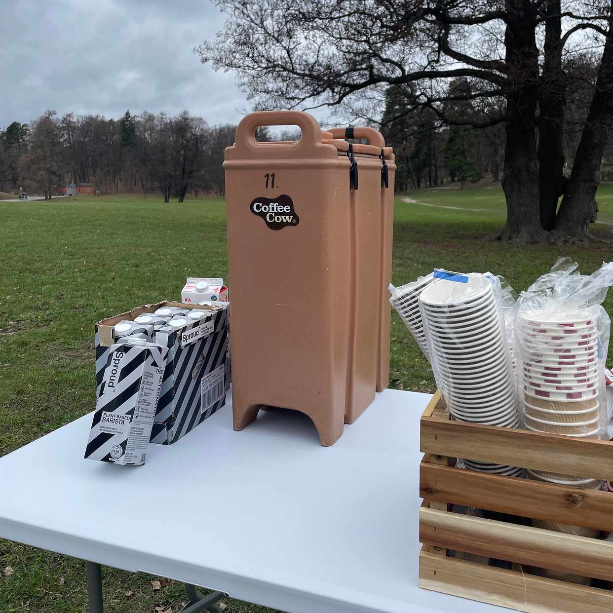 image of 6st kaffetermosar - 