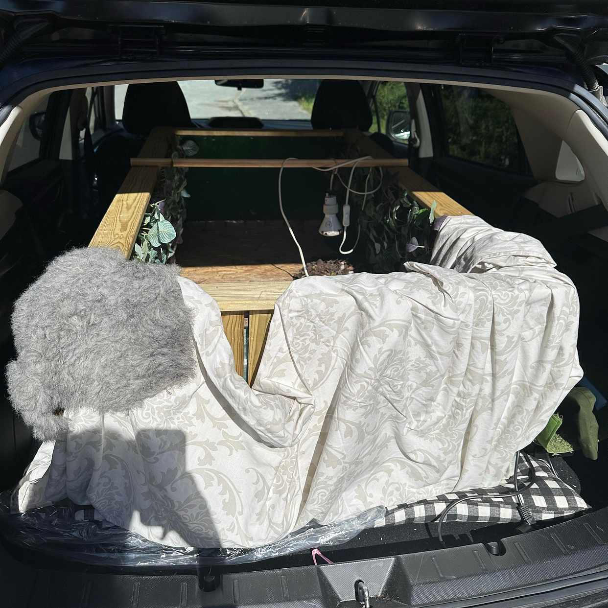 image of Inbärning av terrarium - 