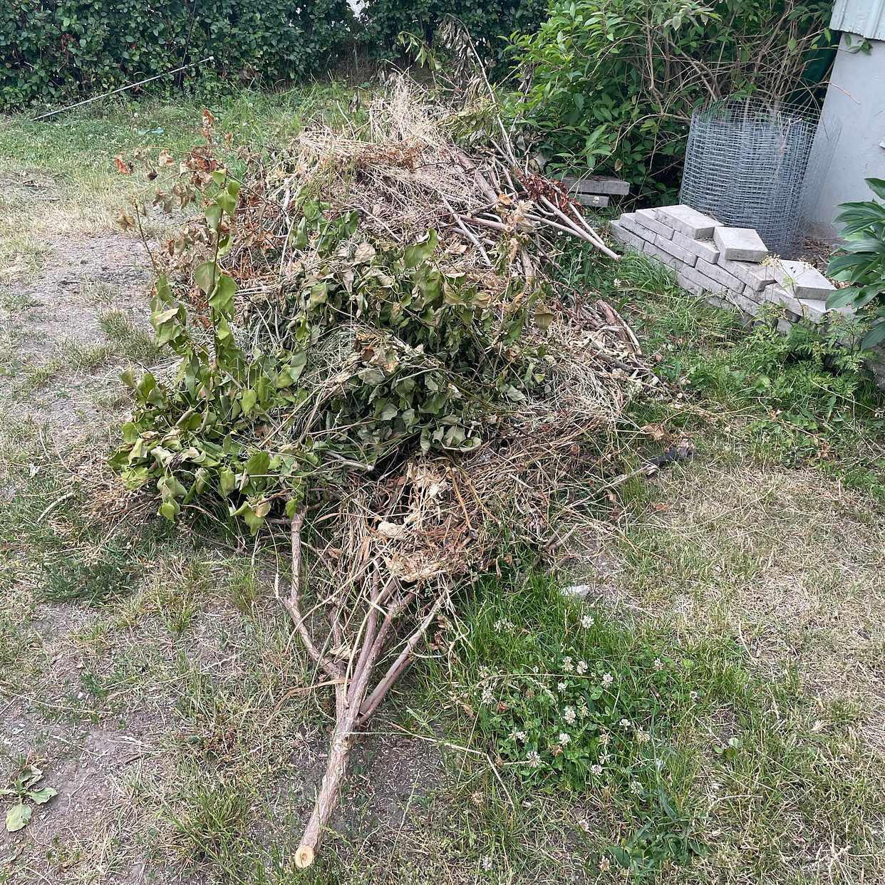 image of Slänga buskar och skräp. - Farsta