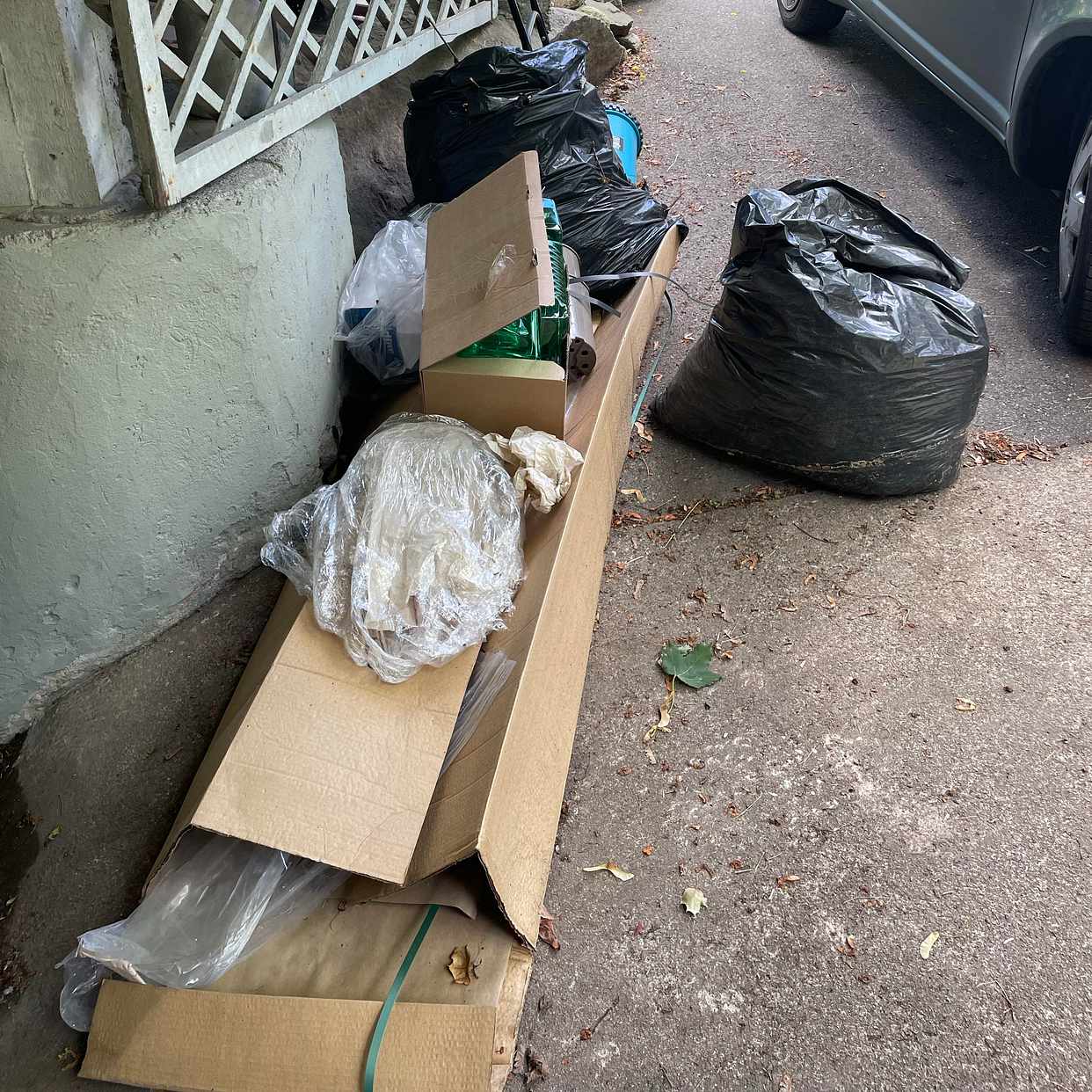 image of Slänga buskar och skräp. - Farsta