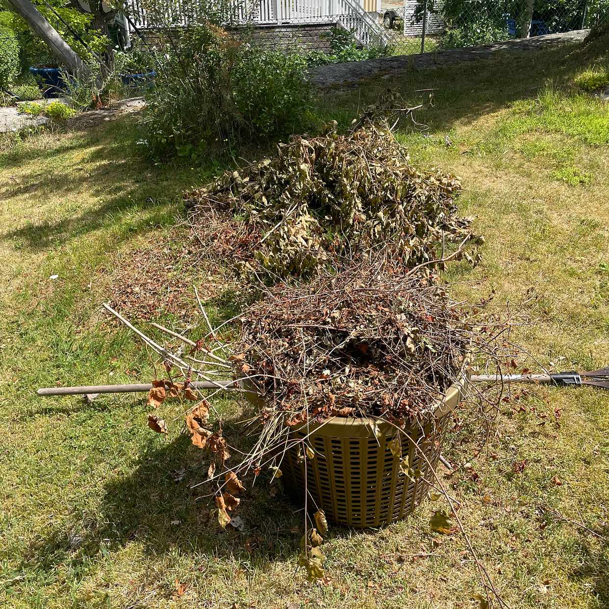 image of Slänga buskar och skräp. - Farsta