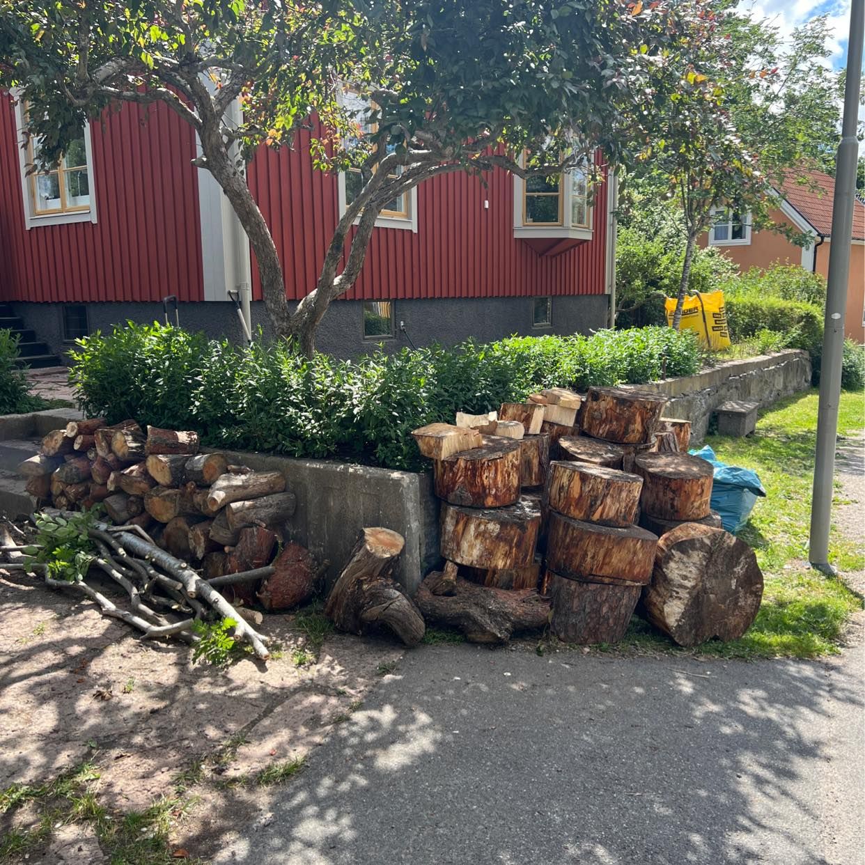 image of Resterna av en tall - Bromma
