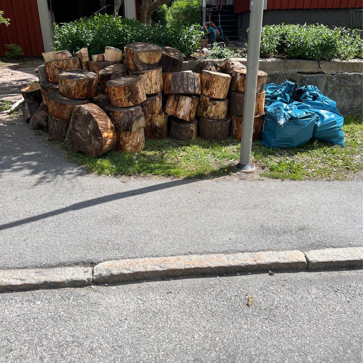 image of Resterna av en tall - Bromma