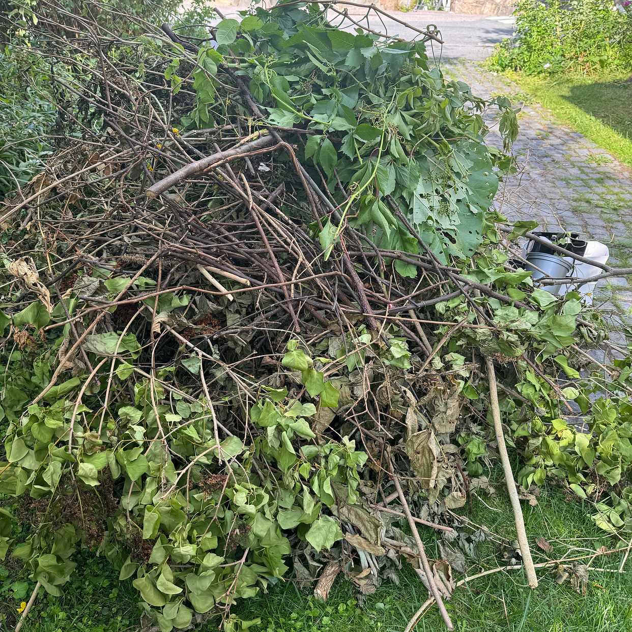 image of Återvinning mest trädgård - Bromma