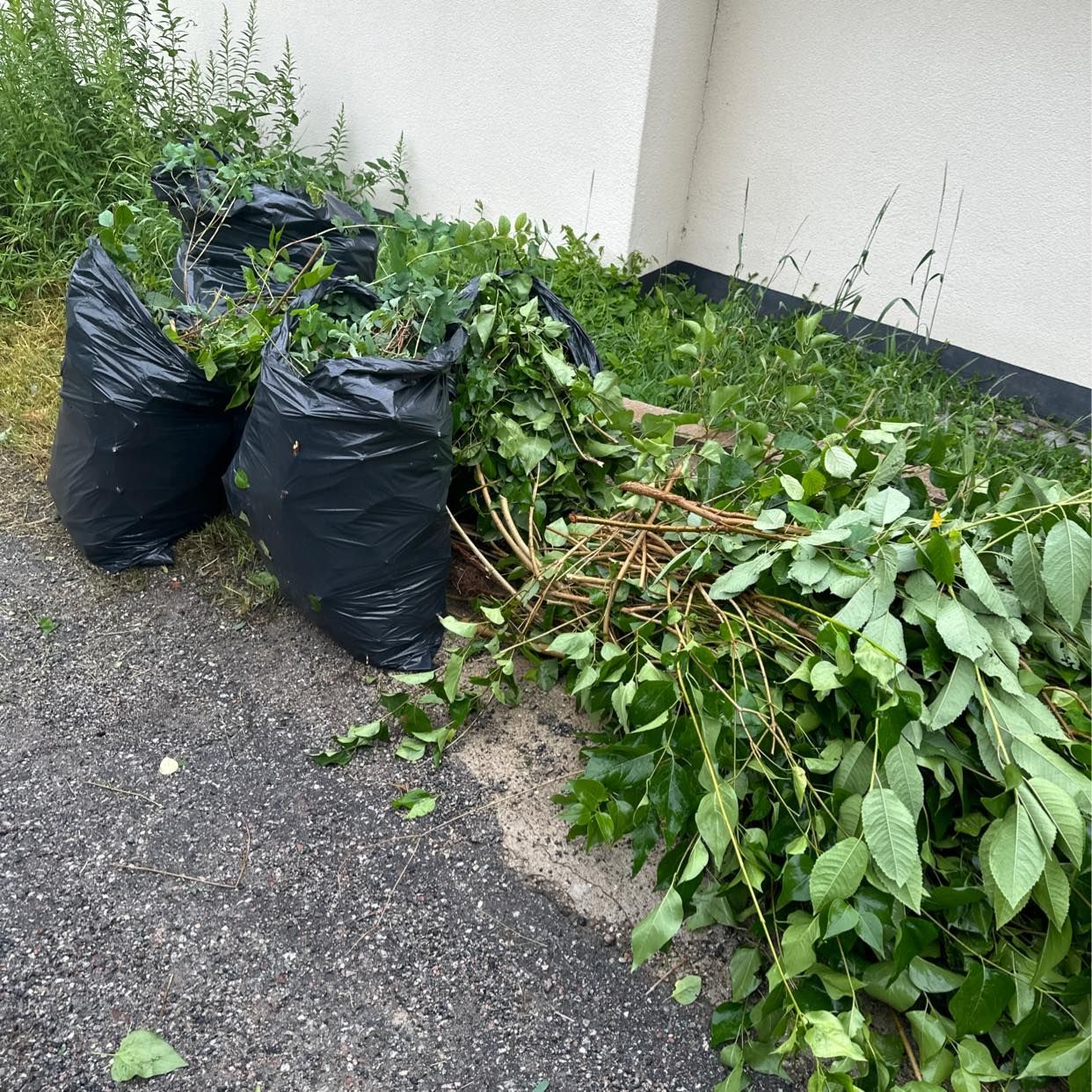 image of Slänga trädgårdsavfall - Täby
