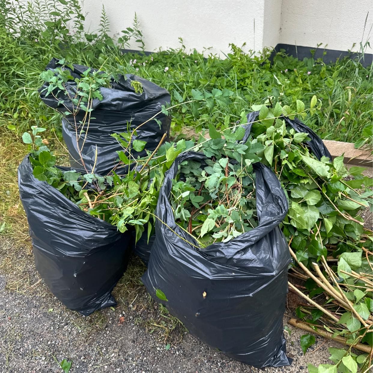 image of Slänga trädgårdsavfall - Täby