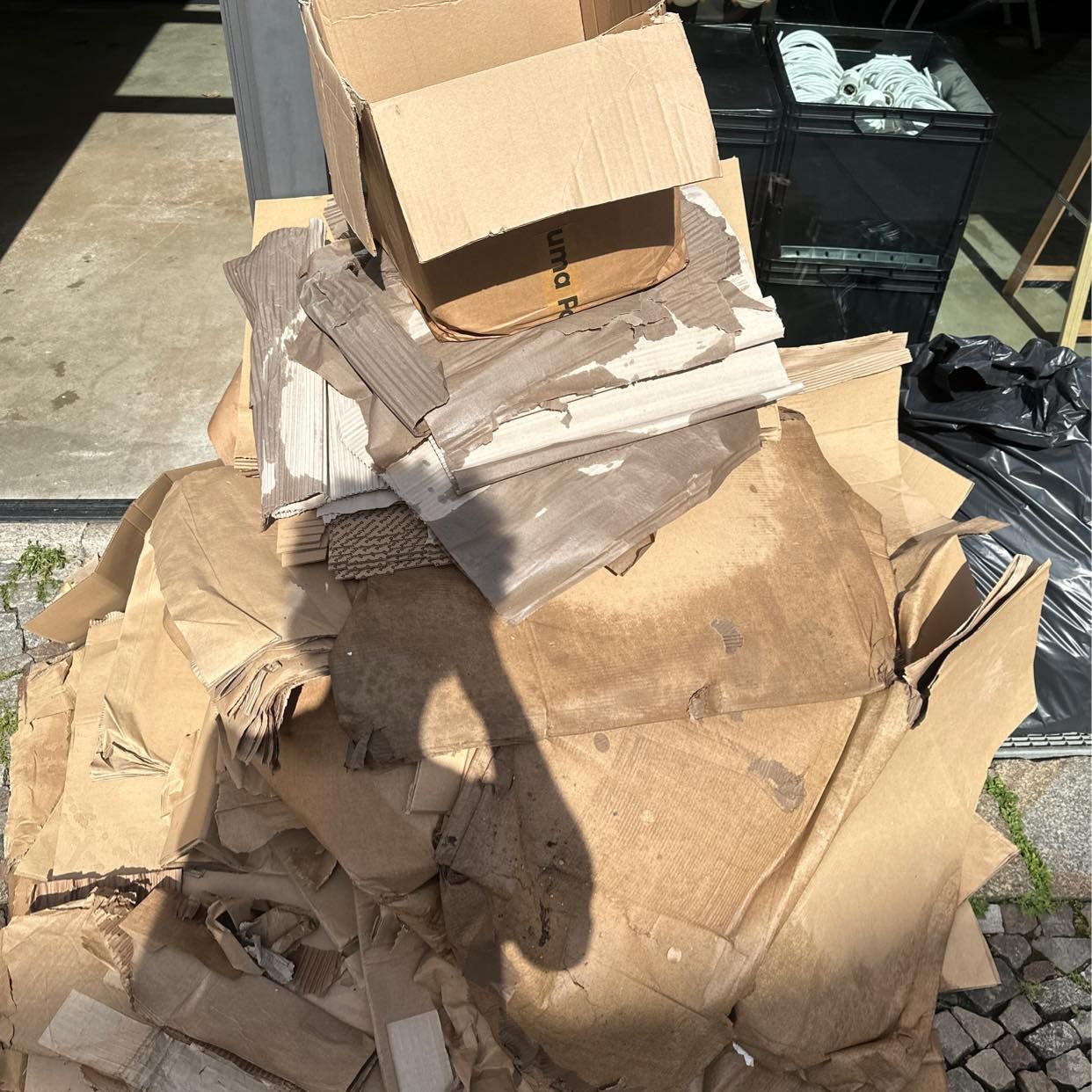 image of Nasse Pappe und Folie - Berlin