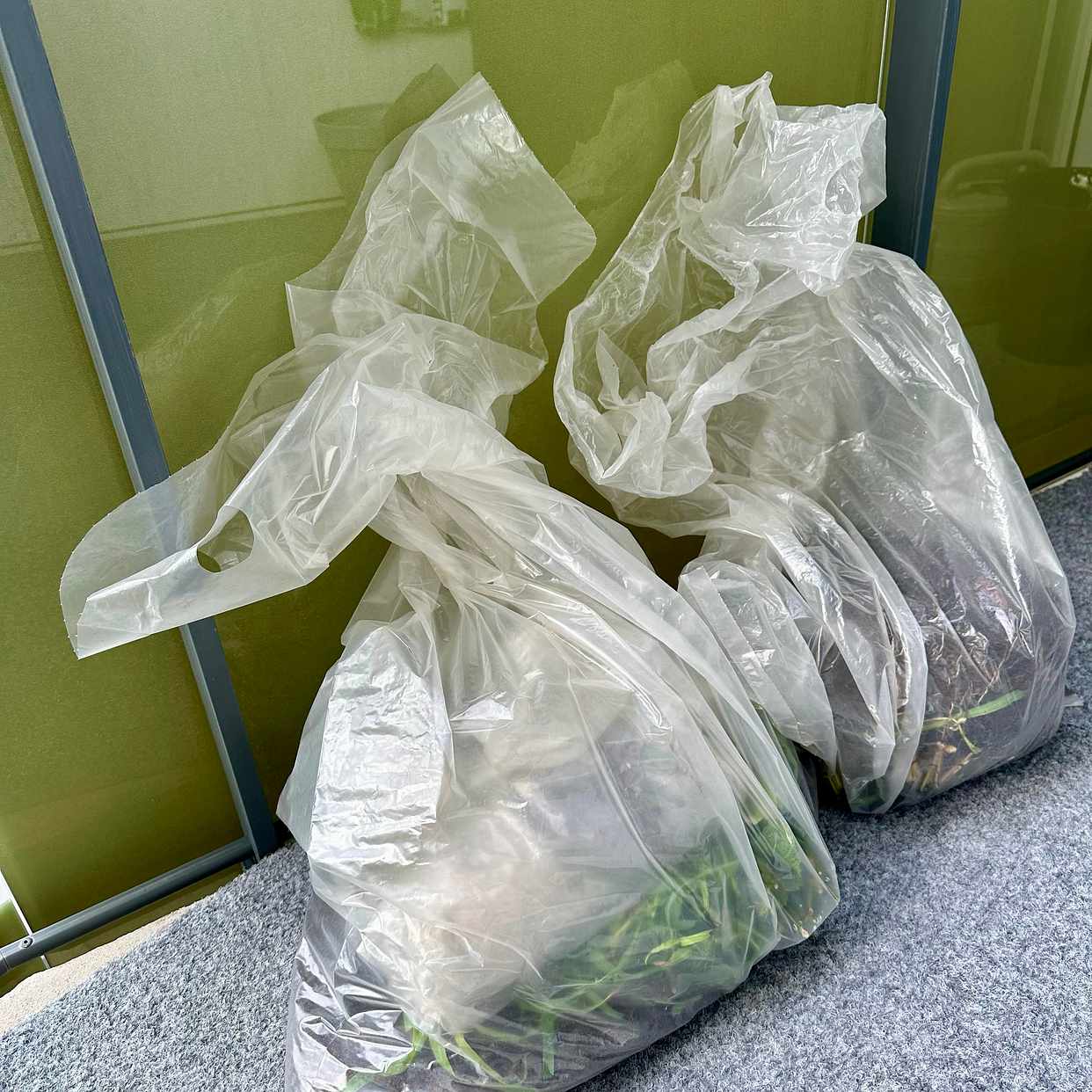 image of Två plastsäckar - Danderyd