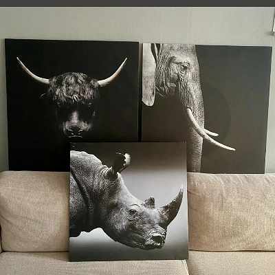 image of 3 tavlor - 