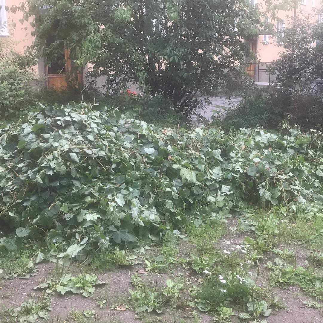image of Trädgårdsavfall - Johanneshov