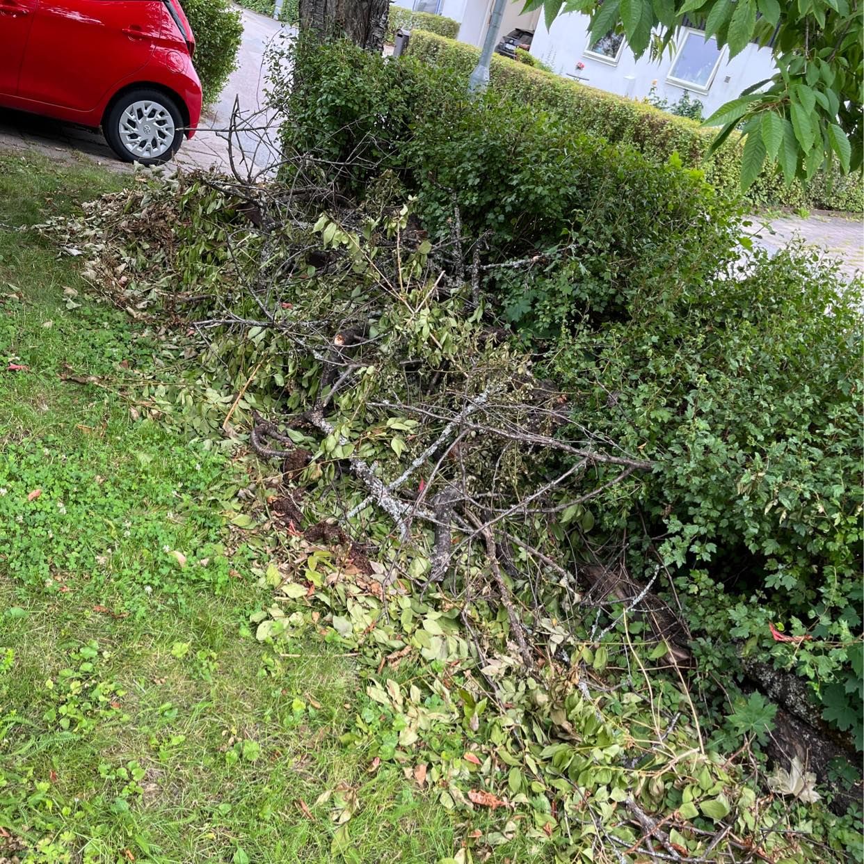 image of Grenar + en skottkärra - Upplands Väsby