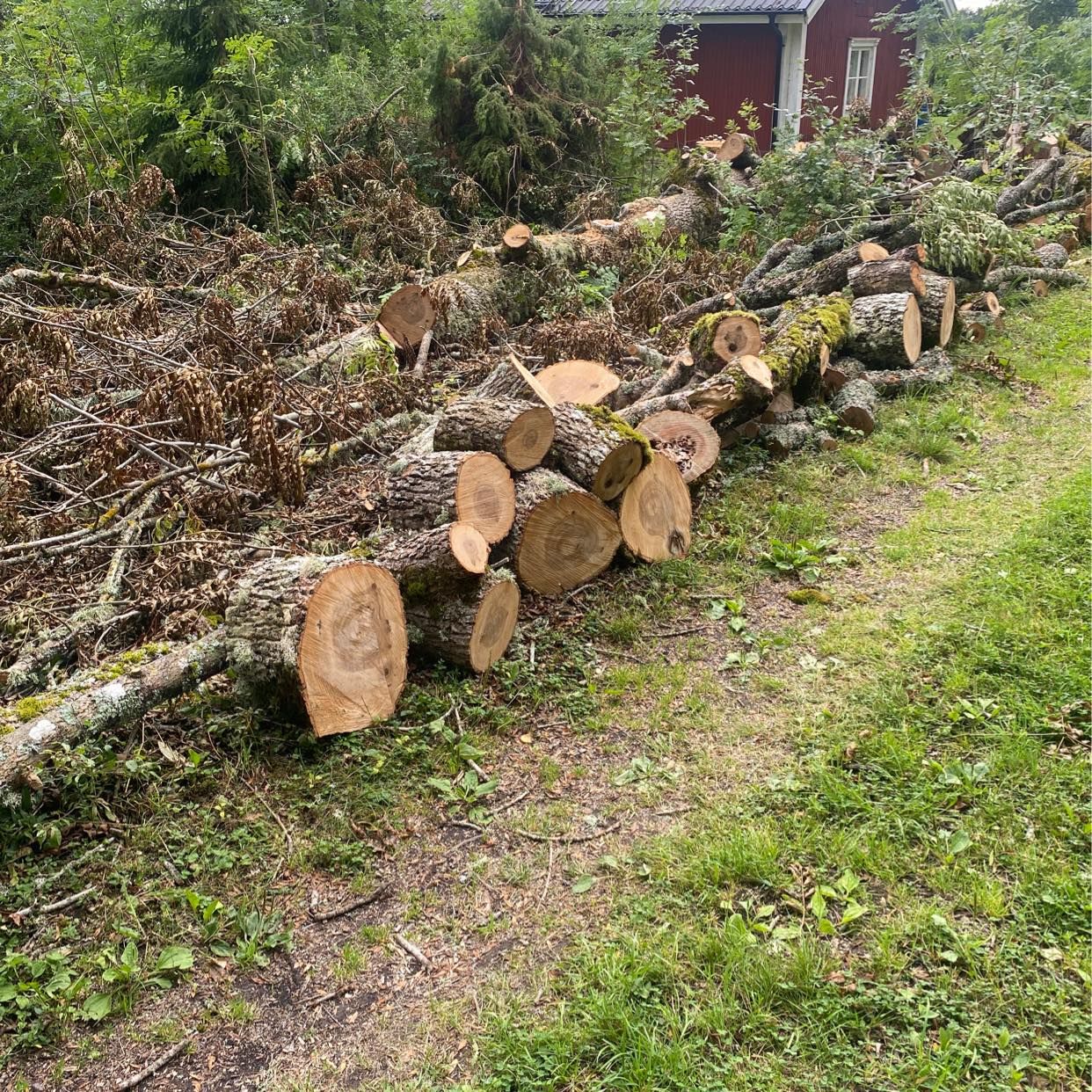 image of Ved bortskänkes - Övergrans