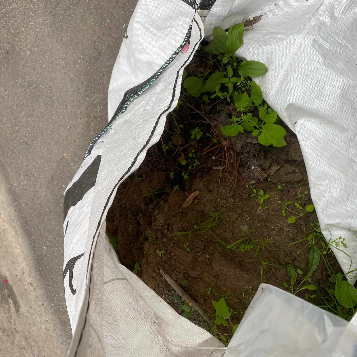 image of 2 Big bags with sand/soil - Stockholm