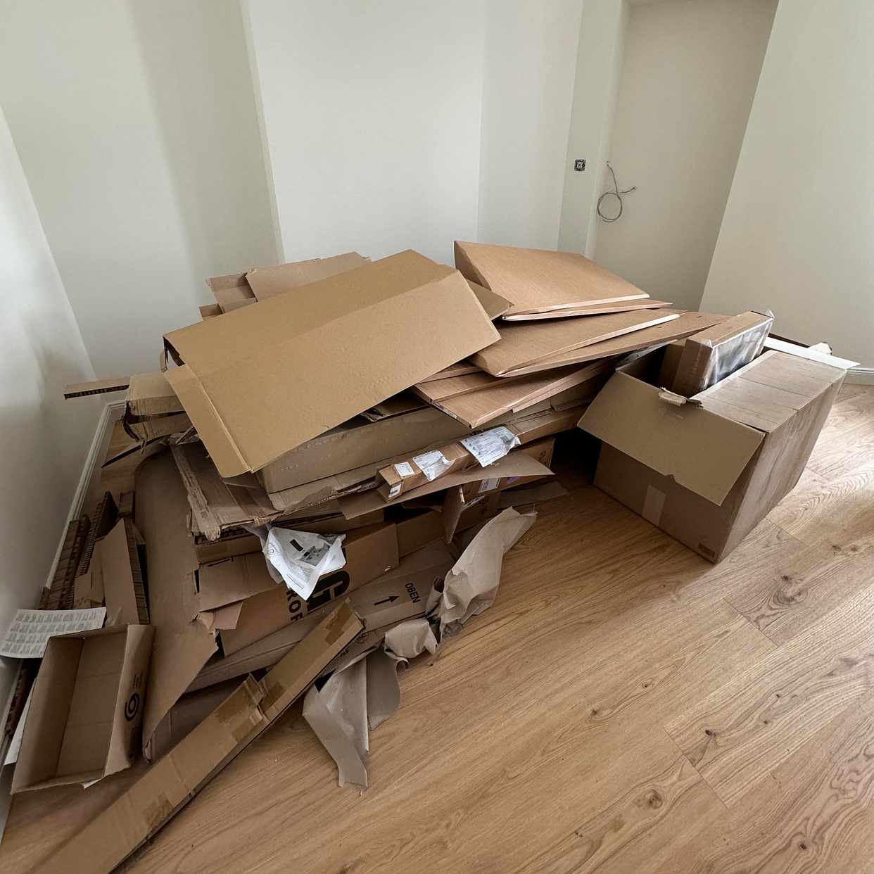 image of Cardboards - Berlin