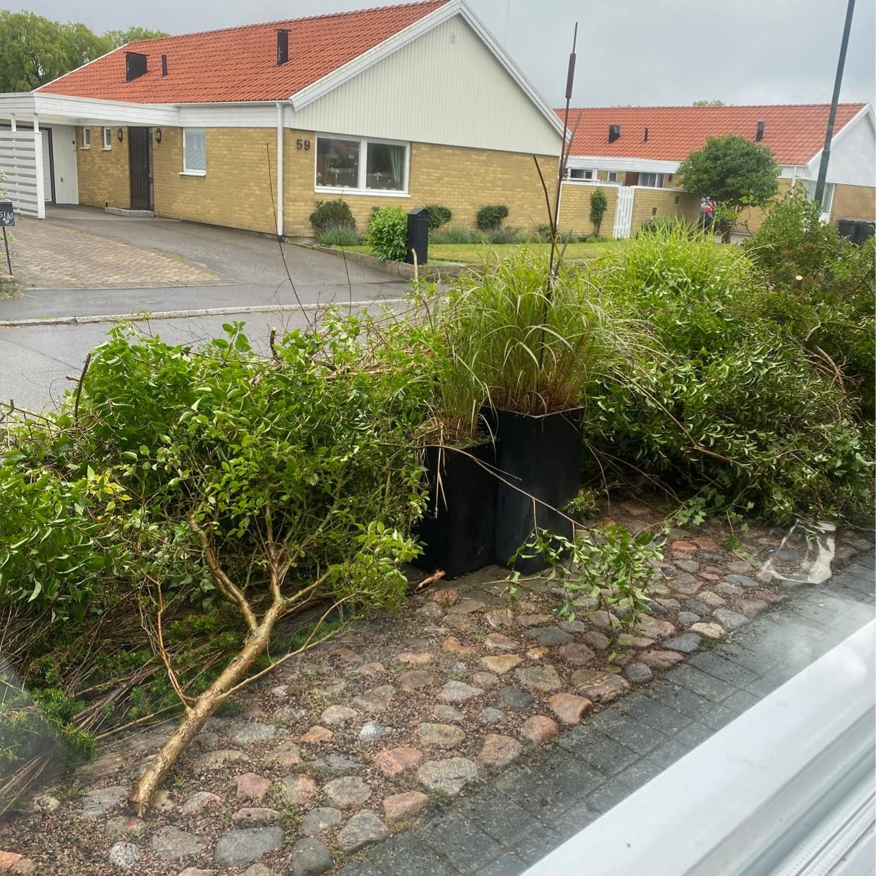 image of Hämta trädgårdsavfall - Malmö