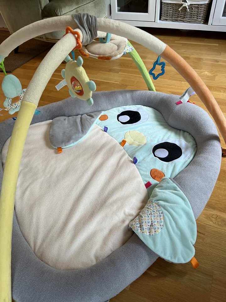 image of Playgro Babygym - 