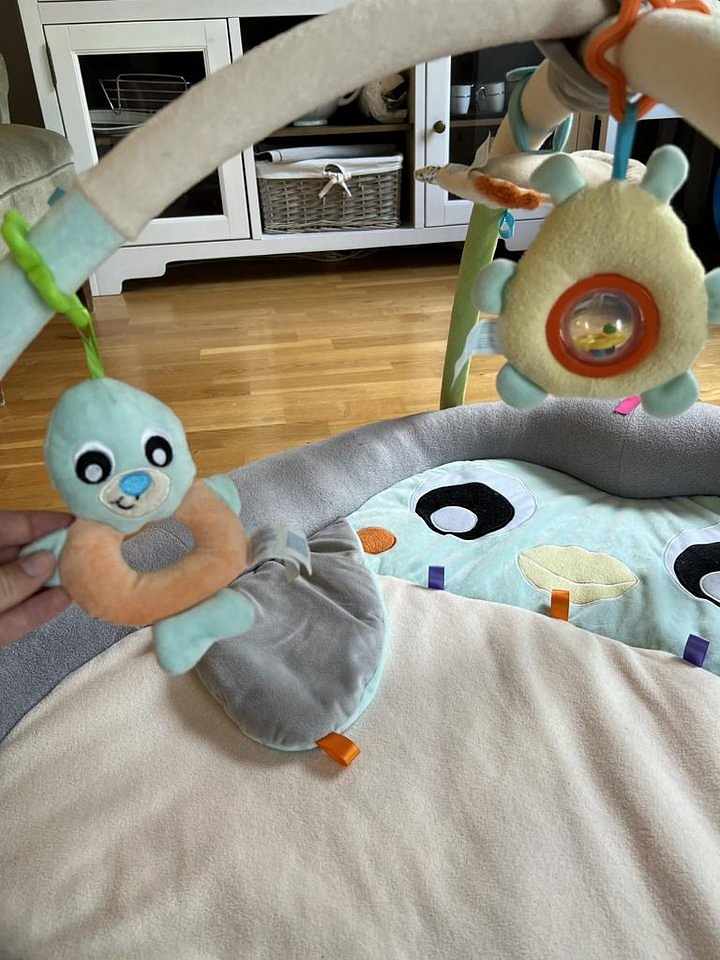 image of Playgro Babygym - 