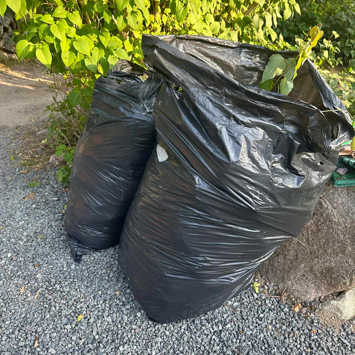 image of Slänga saker - Täby