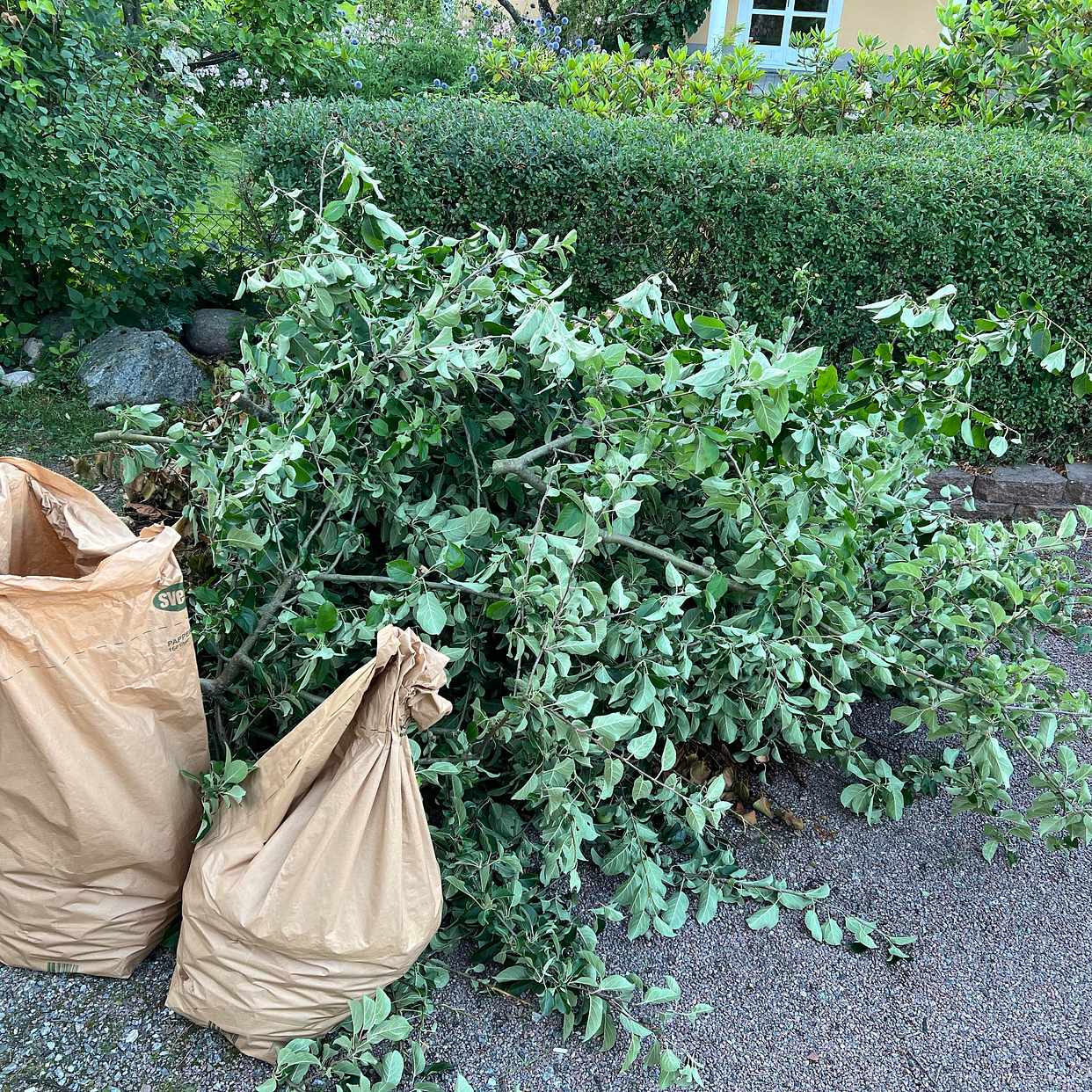 image of Trädgårdsavfall - Täby