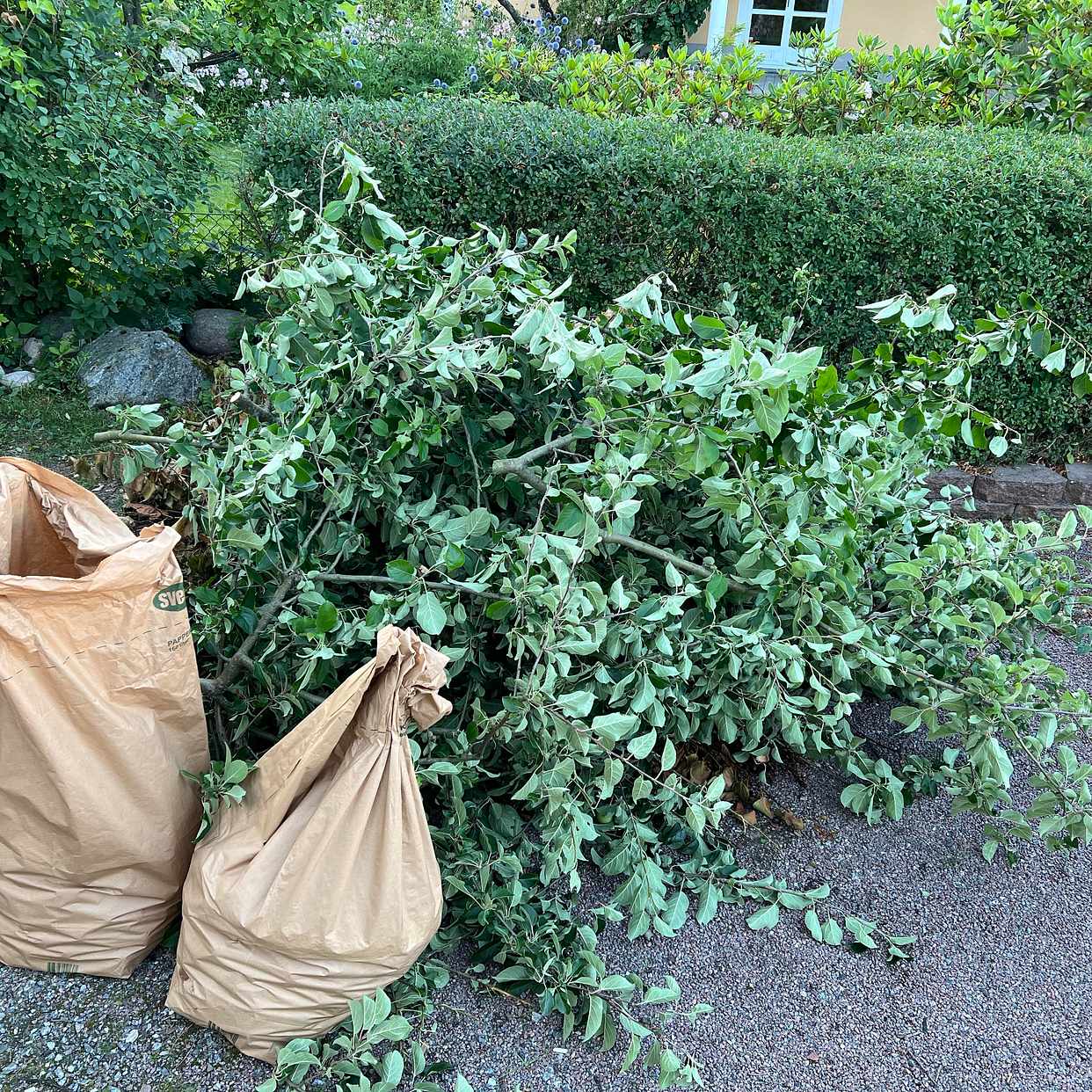 image of Trädgårdsavfall - Täby