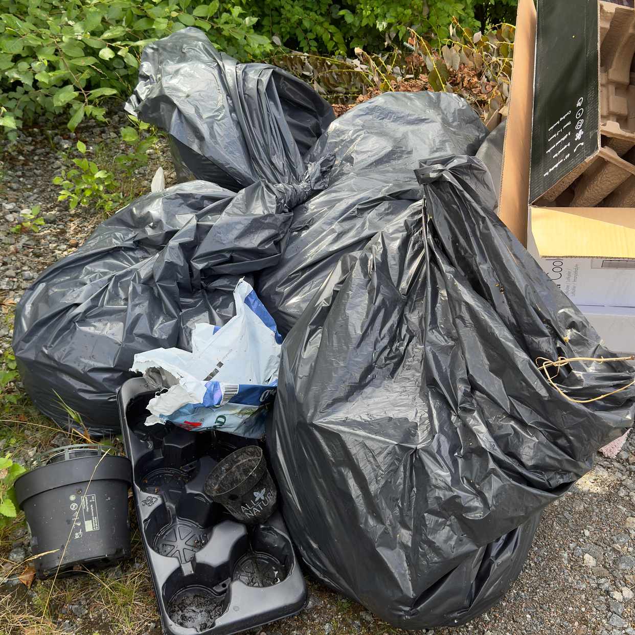 image of Säckar med gräs, kartong - Vega