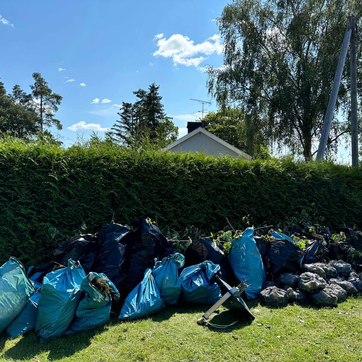 image of Slänga trädgårdsavfall - Sollentuna