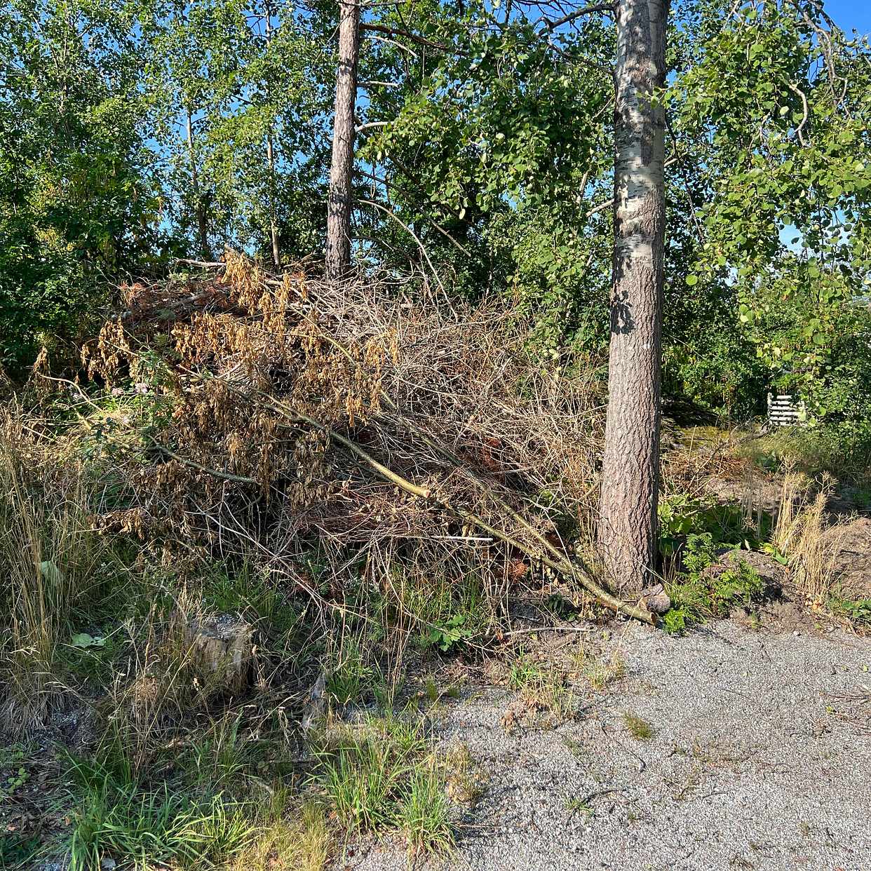 image of Slänga trädgårdsavfall - Tyresö