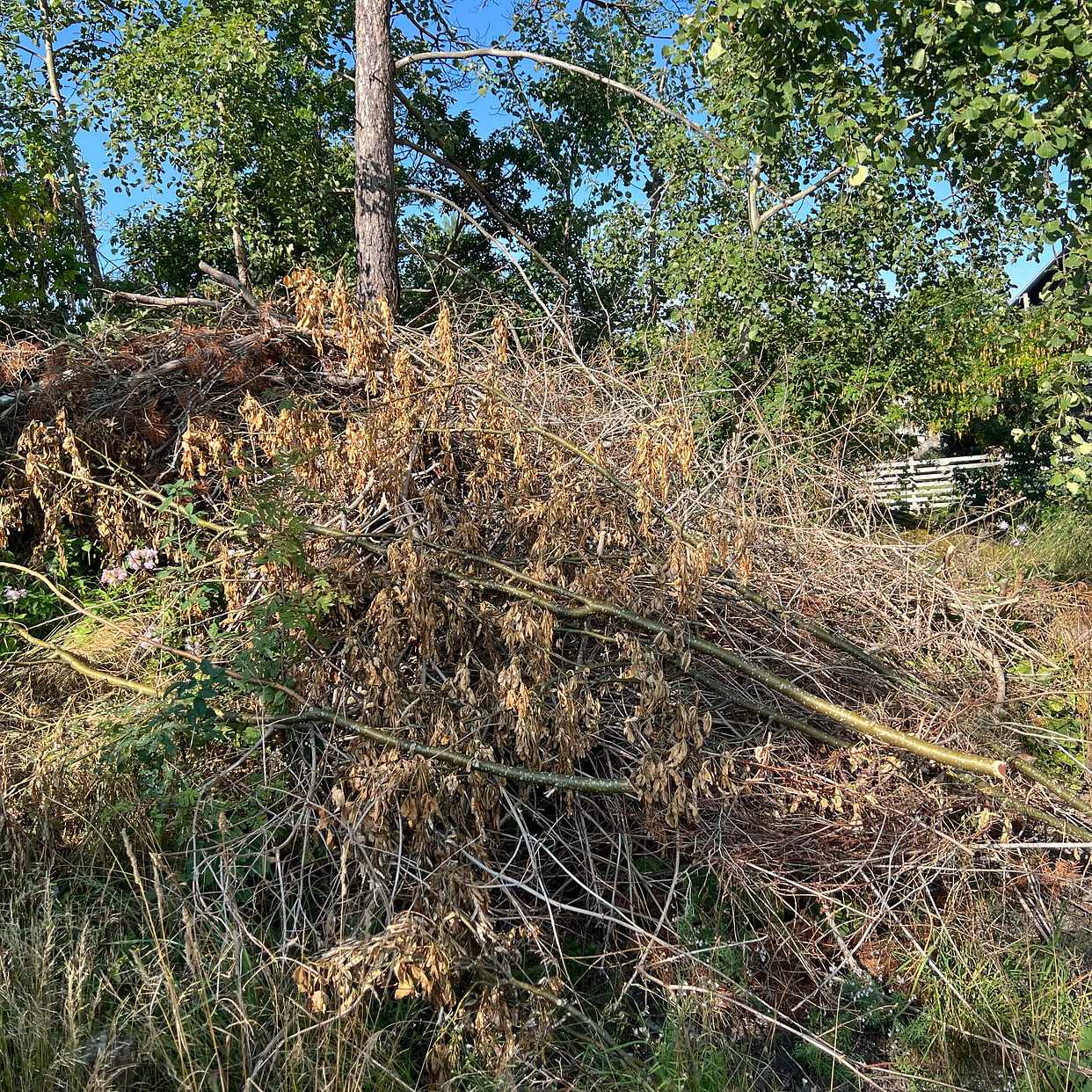 image of Slänga trädgårdsavfall - Tyresö