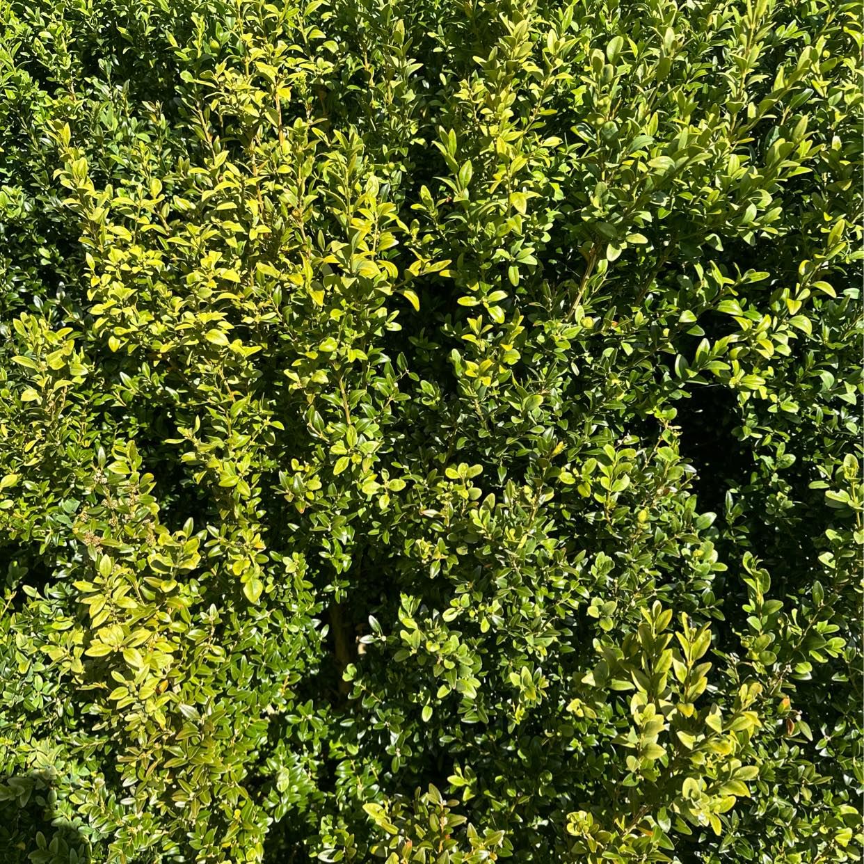 image of 5 säckar var 2 parkslide - Varberg